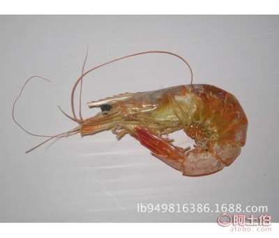 魯濱海產工廠直營 產地批發(fā)優(yōu)質蝦類干制品