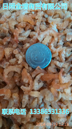 日照金增水產 冷凍帶魚塊段工廠直銷，優(yōu)質批發(fā)首選